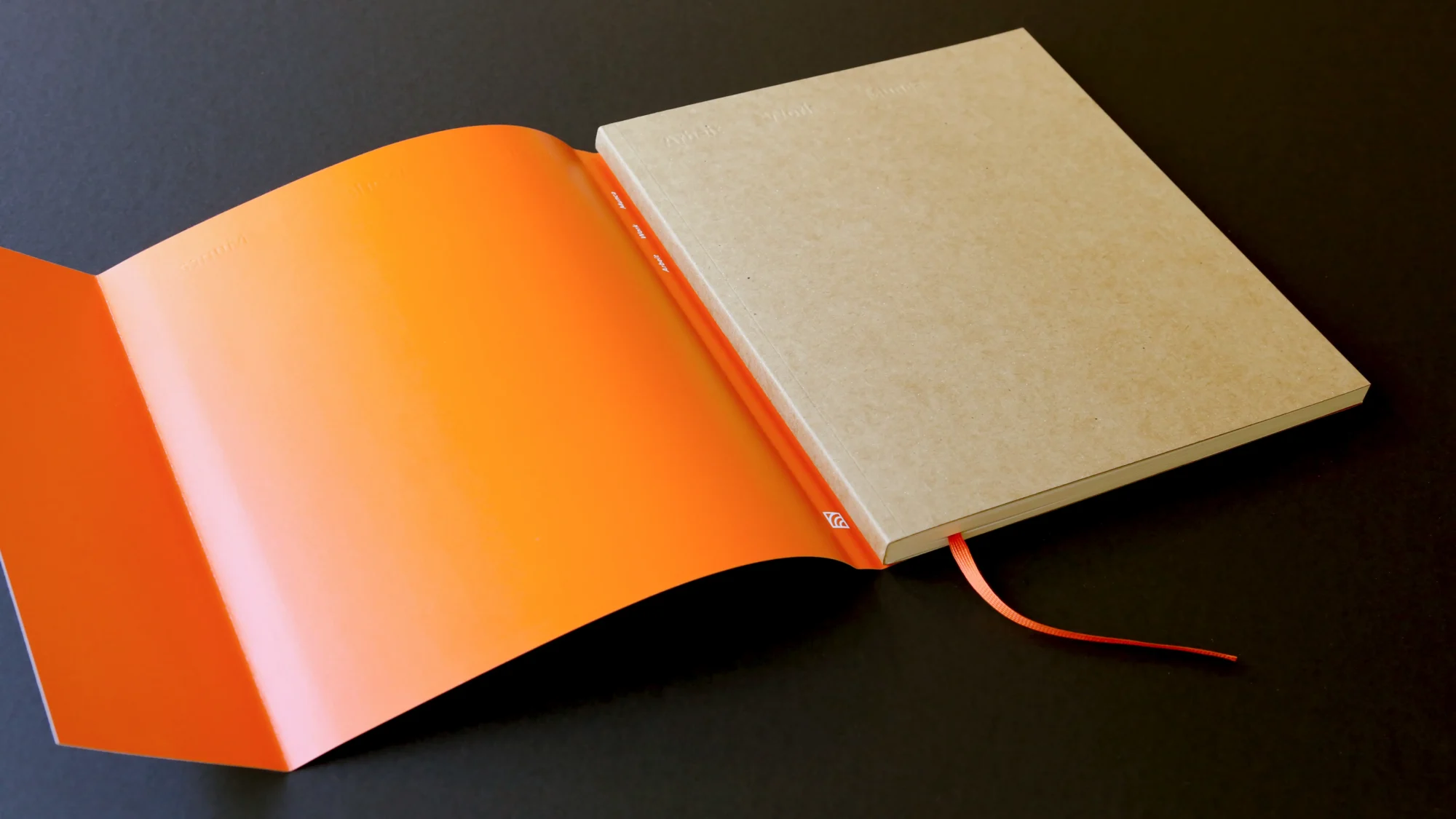 book-design-by-ingmar-thies-design-photo-artists-spb-3-blind-embossing Kopie