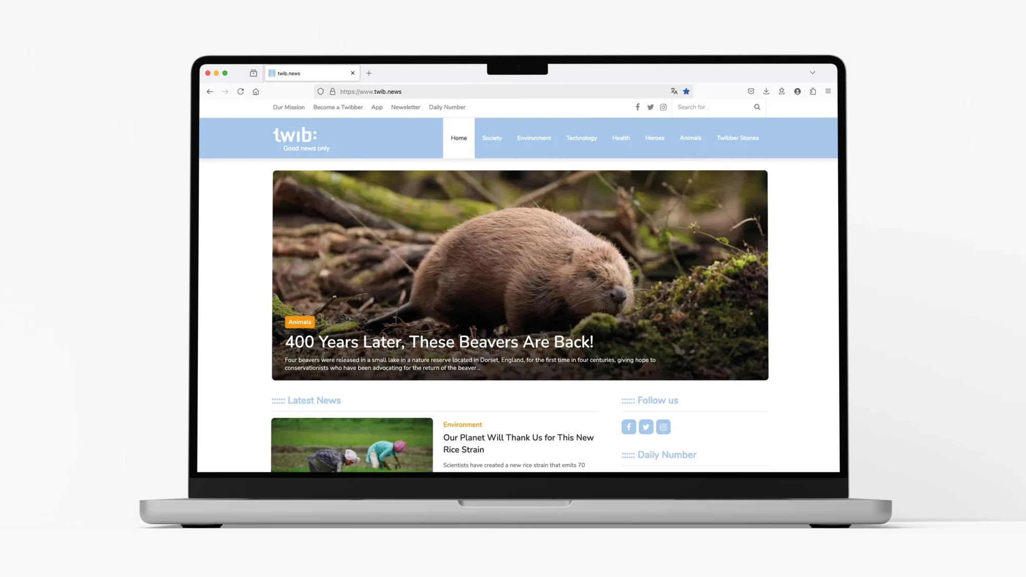 branding-website-design-and-programming-twib-created-by-thies-design-good-news-only-plattform